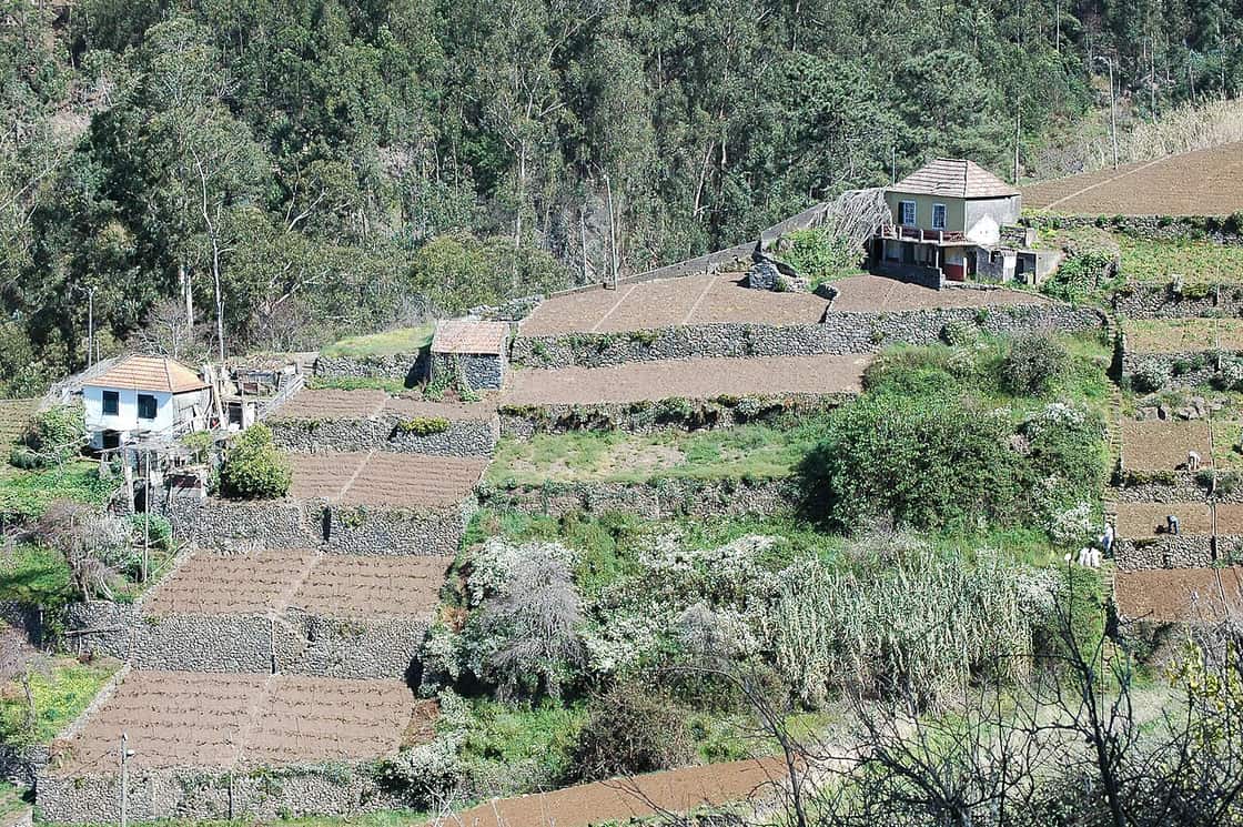 Terraced fields on Campanário’s steep hillside reveal the landscape along a walk through the village.