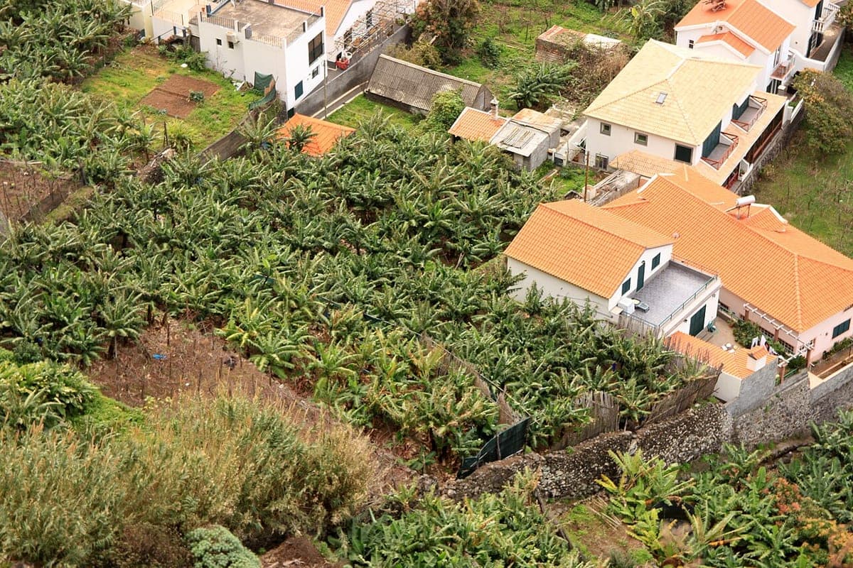 Madeira - Jardim do Mar - view from the hillside (24548923811)